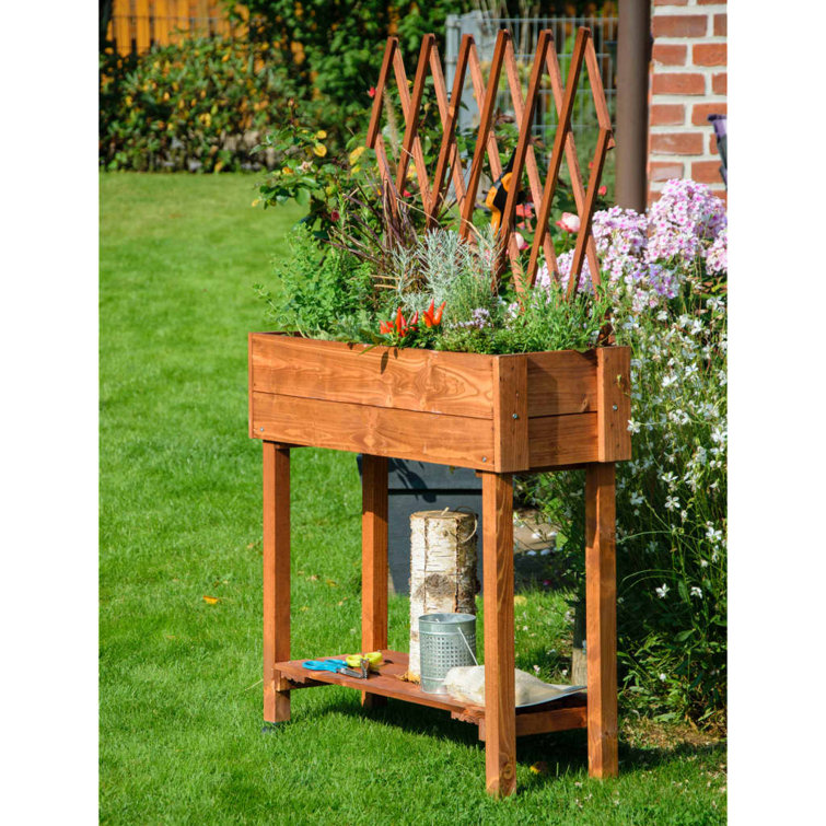 Bay Isle Home Dobar Mobile Raised Bed With Trellis Brown Wayfair.co.uk